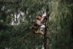 Image londonyounglabour.co.uk 927 1746031191221